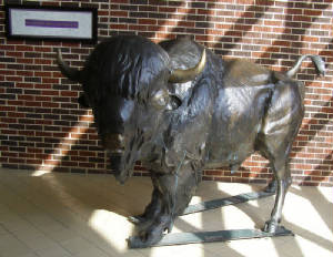 bronze-bison.jpg